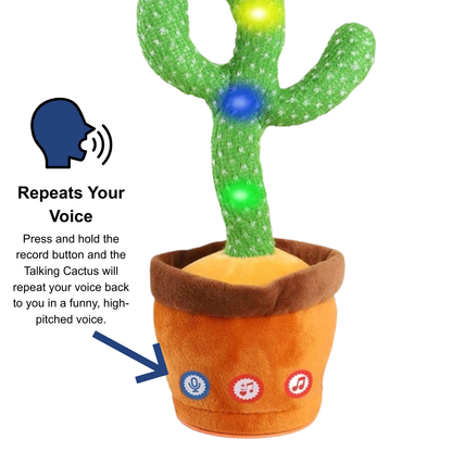 Talking Cactus